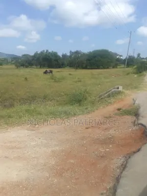 100x100 Plot Kithini Near Mama Mutua Home at 2.5m