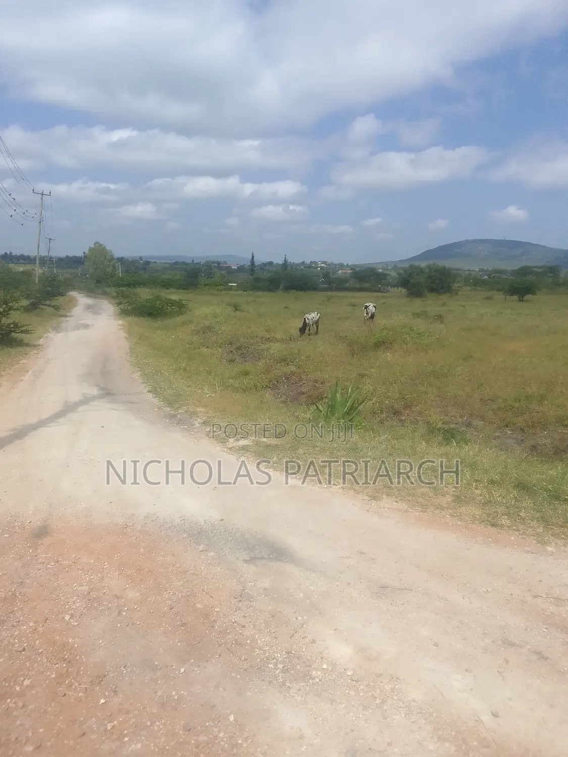 100x100 Plot Kithini Near Mama Mutua Home at 2.5m