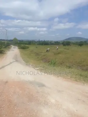 100x100 Plot Kithini Near Mama Mutua Home at 2.5m