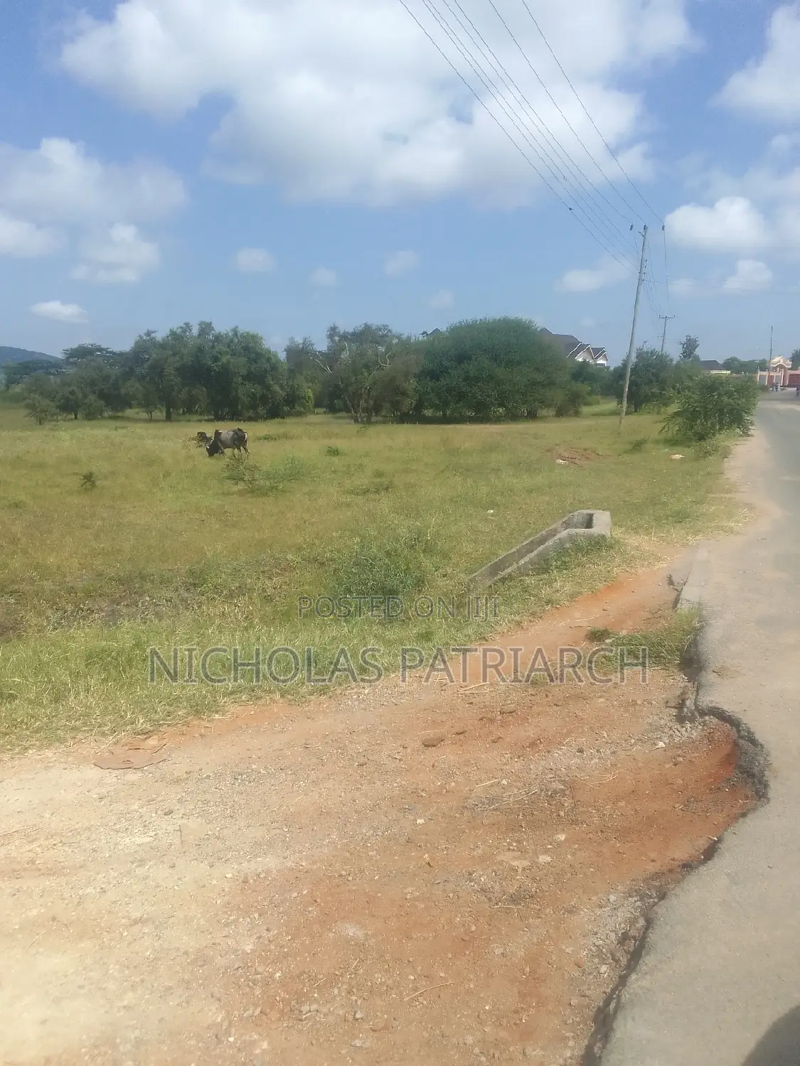 100x100 Plot Kithini Near Mama Mutua Home at 2.5m