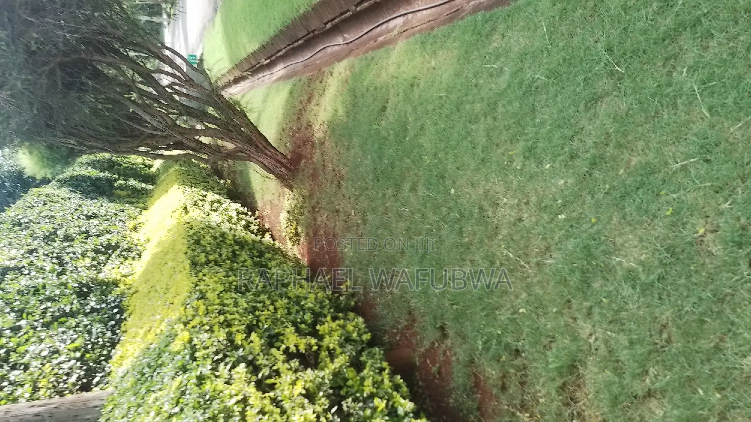 Indoor Plant Care Gardener
