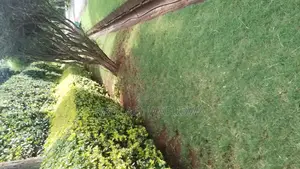 Indoor Plant Care Gardener