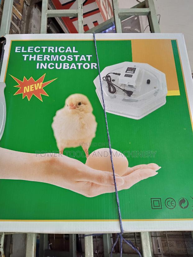 Electric Egg Incubator 60eggs - main view