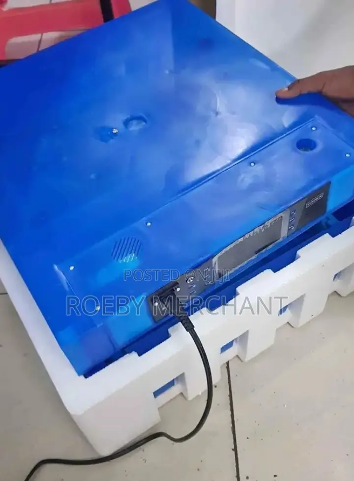 Smart Egg Incubator