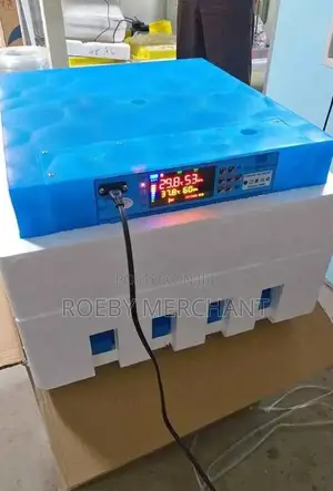New 64eggs Incubator