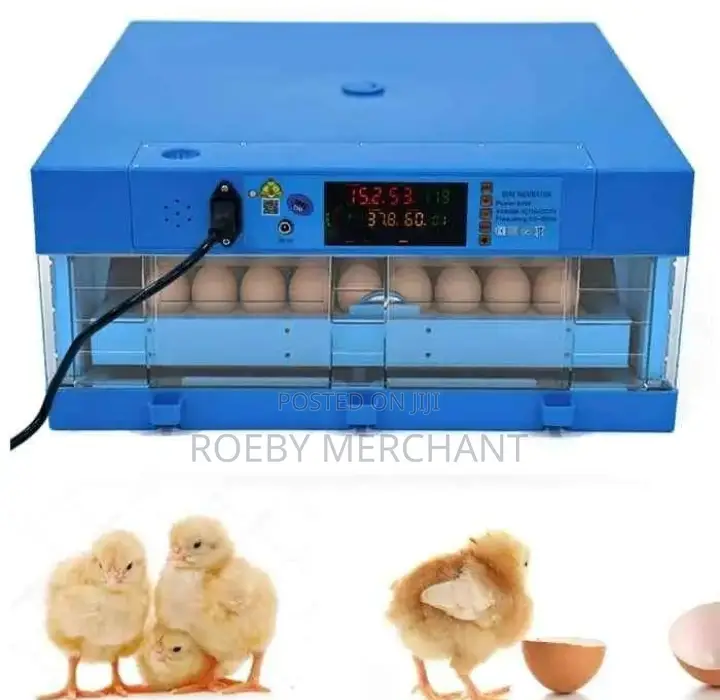 Professional 64eggs Incubator