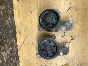 Passo (New Model) Water Pump