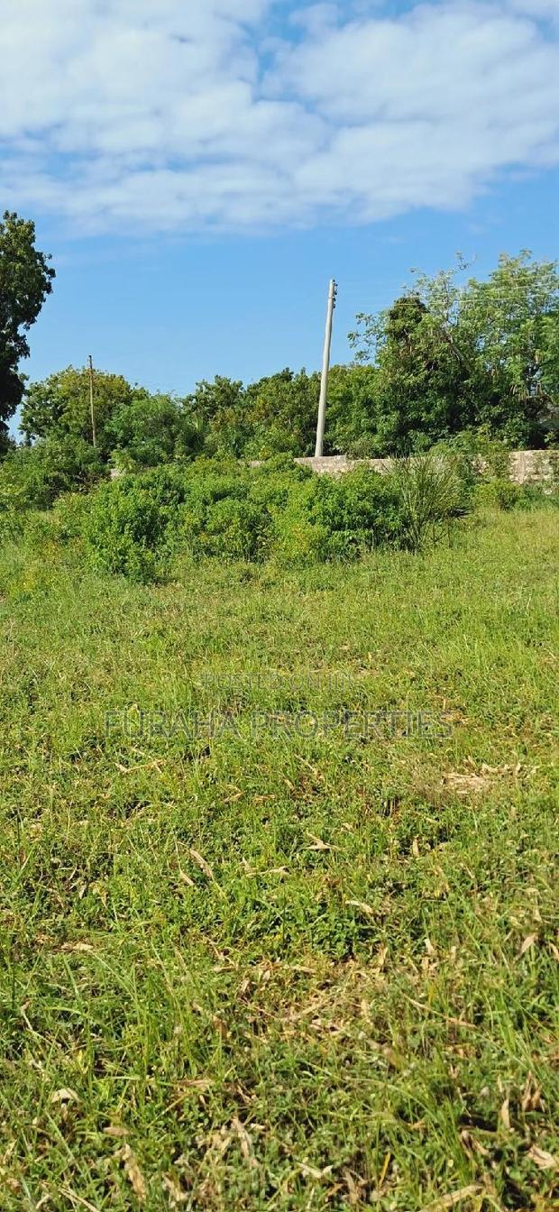 For Sale 2 Acres Prime Land Kikambala - thumbnail 4