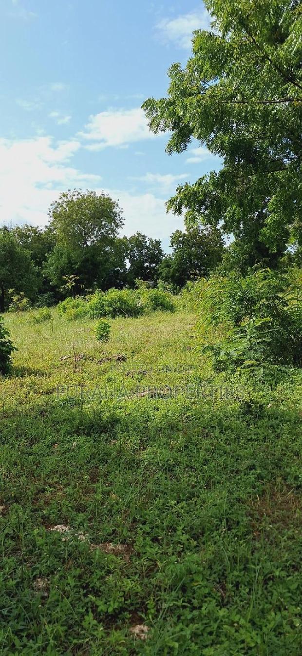 For Sale 2 Acres Prime Land Kikambala - thumbnail 7
