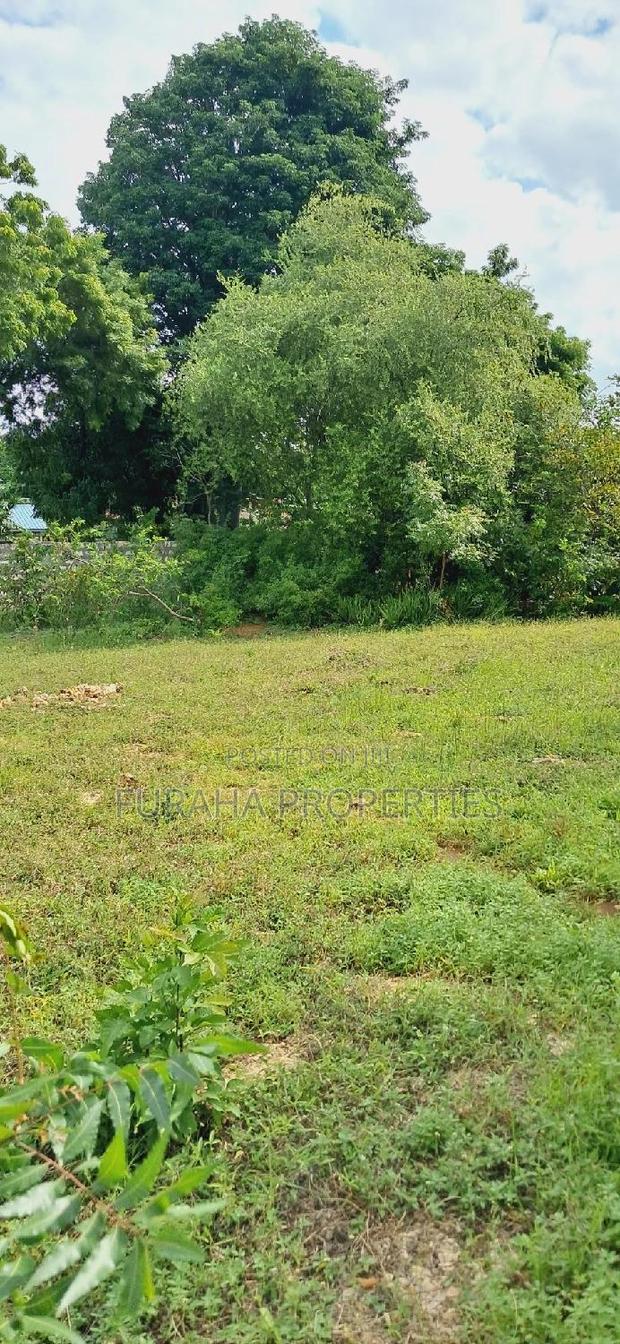 For Sale 2 Acres Prime Land Kikambala - thumbnail 8