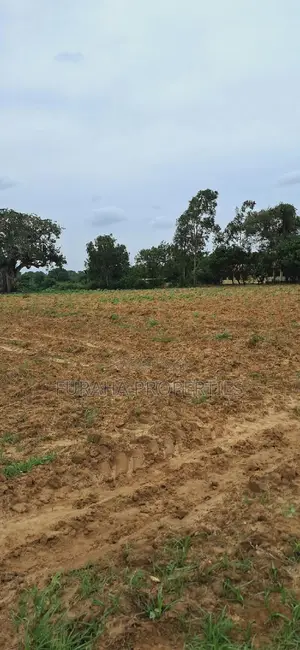 For Sale 5 Acre Malindi Mombasa Road