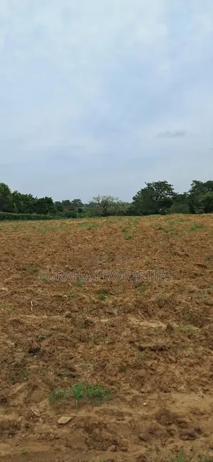 For Sale 5 Acre Malindi Mombasa Road