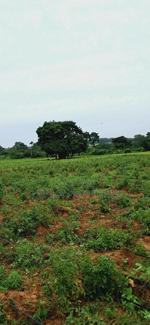 For Sale Several Eighth Acres Plots - thumbnail 2