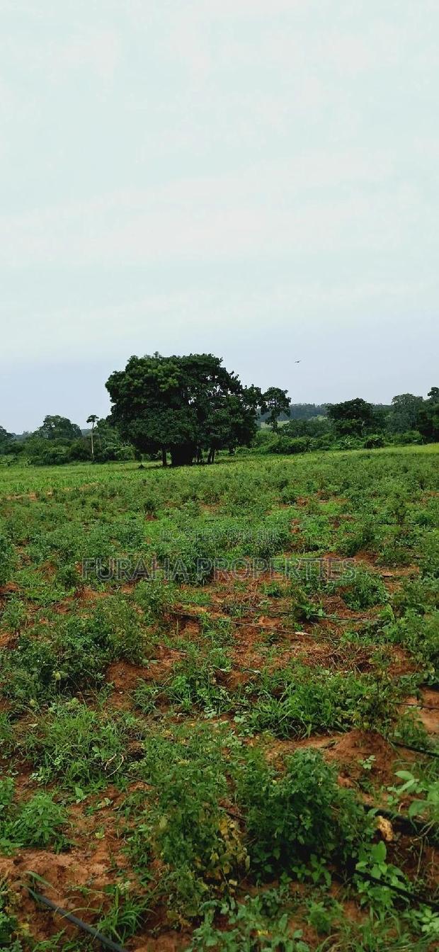 For Sale Several Eighth Acres Plots - main view