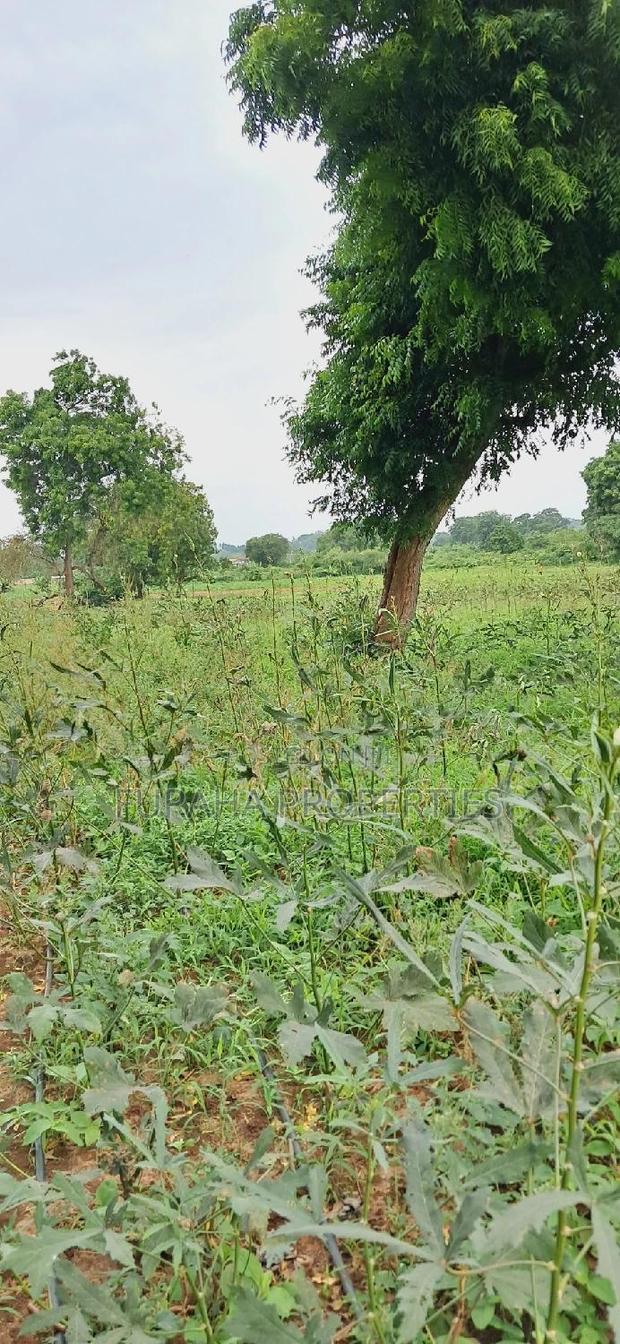 For Sale Several Eighth Acres Plots - thumbnail 3