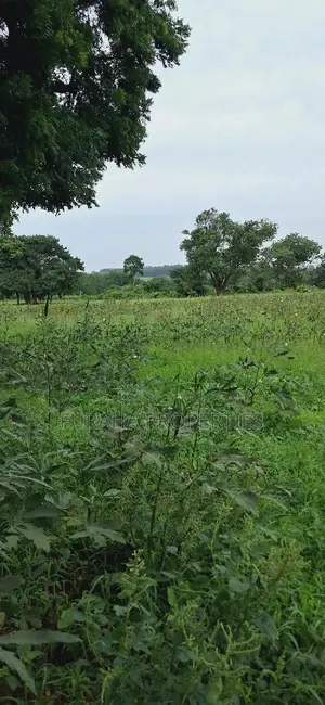 For Sale Several Eighth Acres Plots