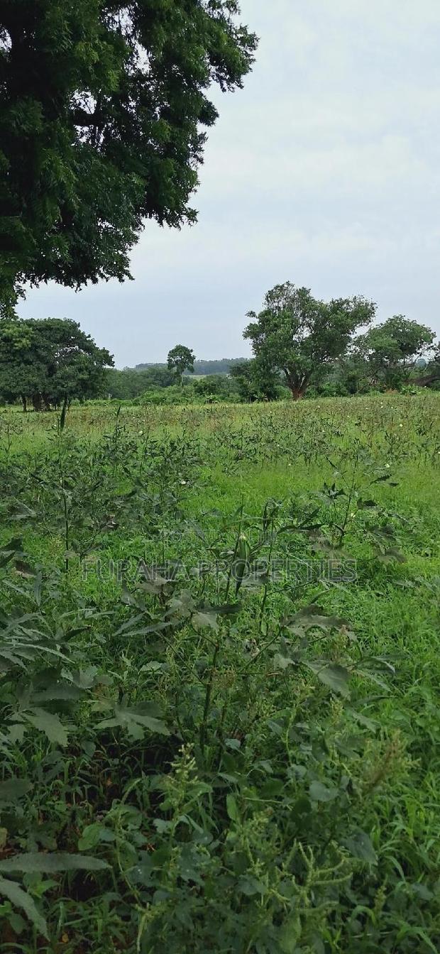 For Sale Several Eighth Acres Plots - thumbnail 4