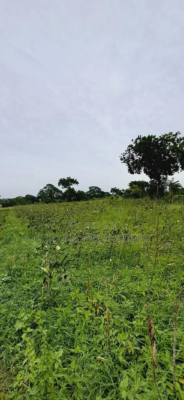 For Sale Several Eighth Acres Plots - thumbnail 5