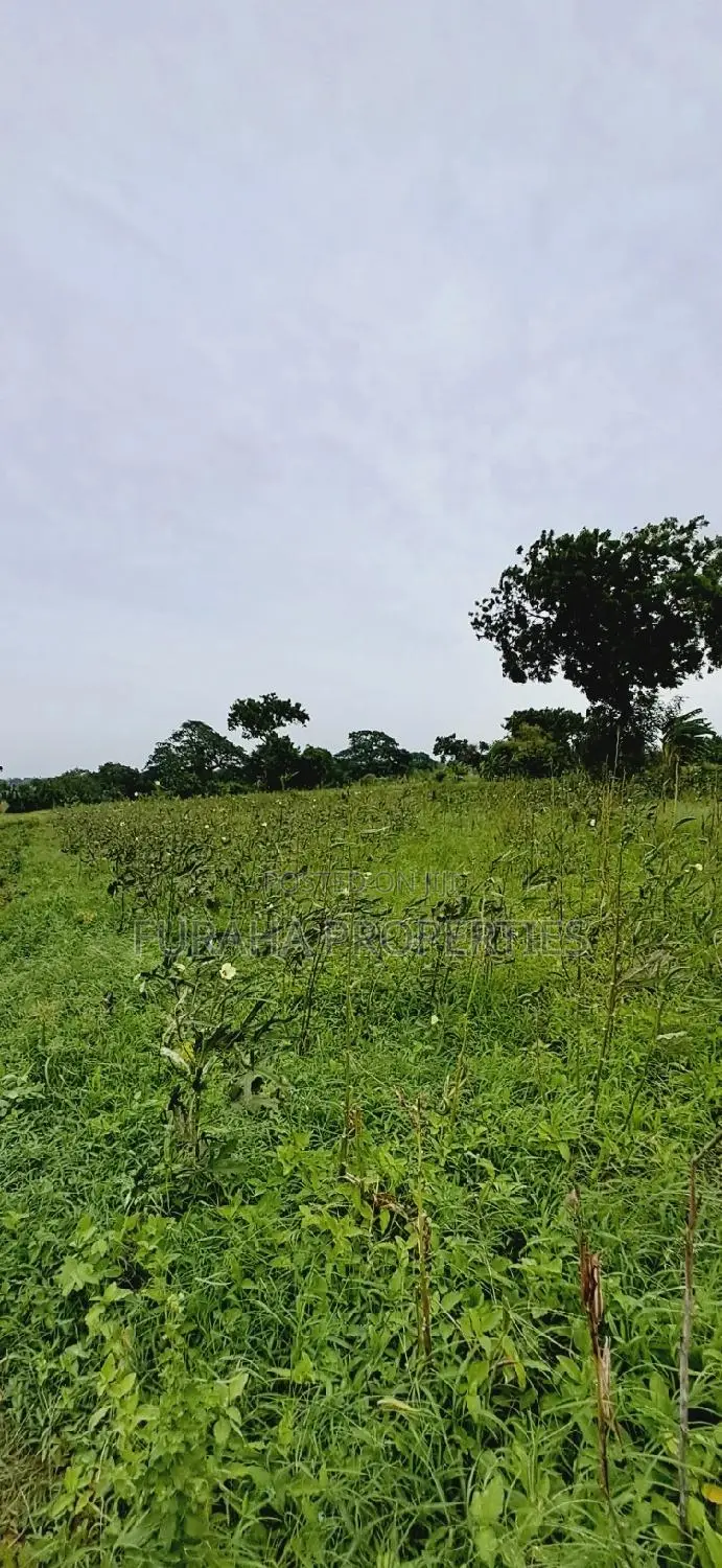 For Sale Several Eighth Acres Plots