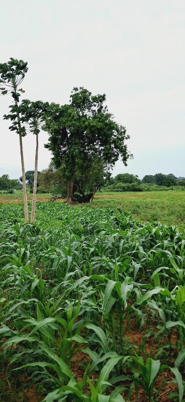 For Sale Several Eighth Acres Plots - thumbnail 6