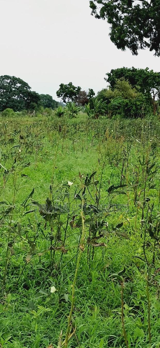 For Sale Several Eighth Acres Plots - thumbnail 7