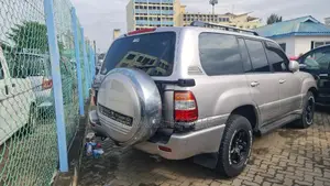 Toyota Land Cruiser 2004 Gray