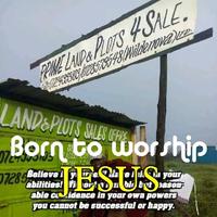 Wildenova land agents logo