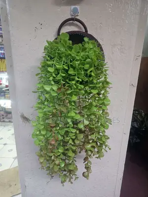 Vase Plastic Vines Artificial