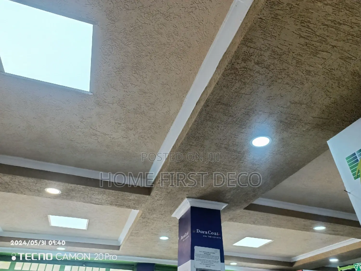 Professional Painter
