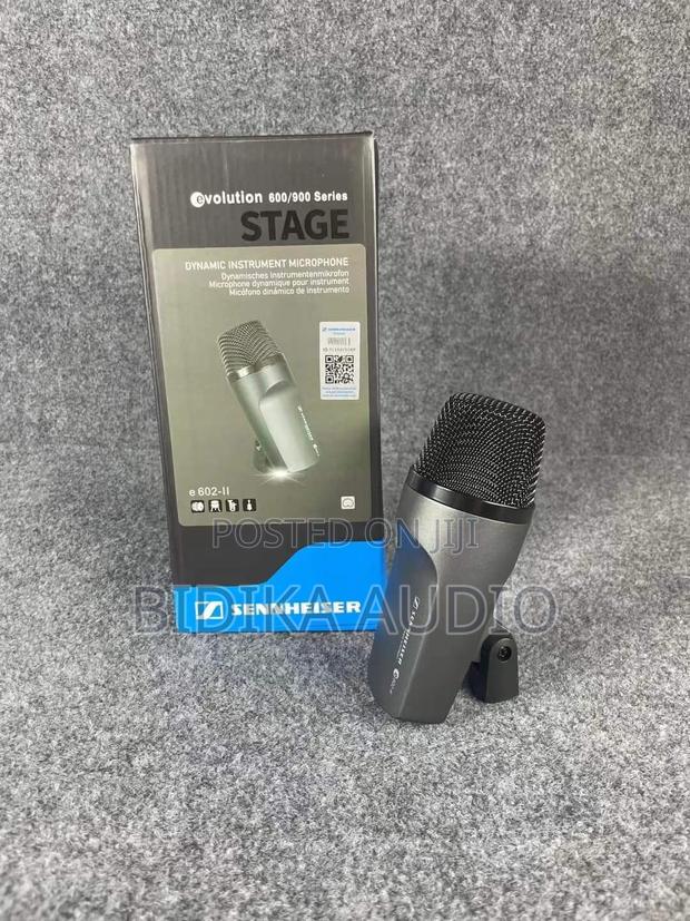 E602 Ii Bass Drum Microphone