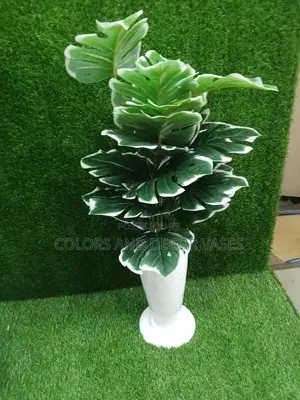 Plant With Vase and Stones
