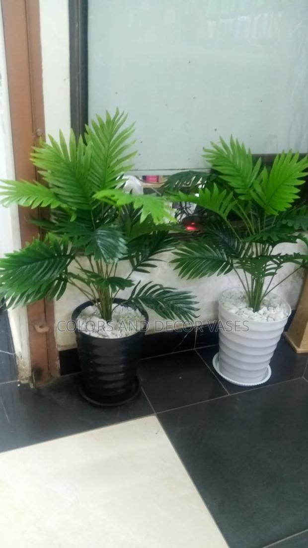 Palm Trees Available in Plastic Vases - main view