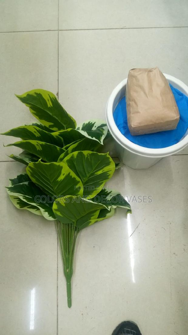Plastic Vase and Yellow Green Plant KSH 1500