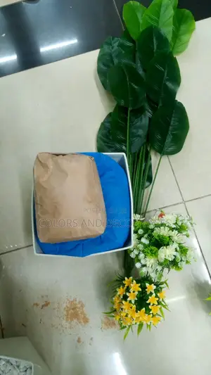 Banana Plant, Plastic Vase and Pebble Stones