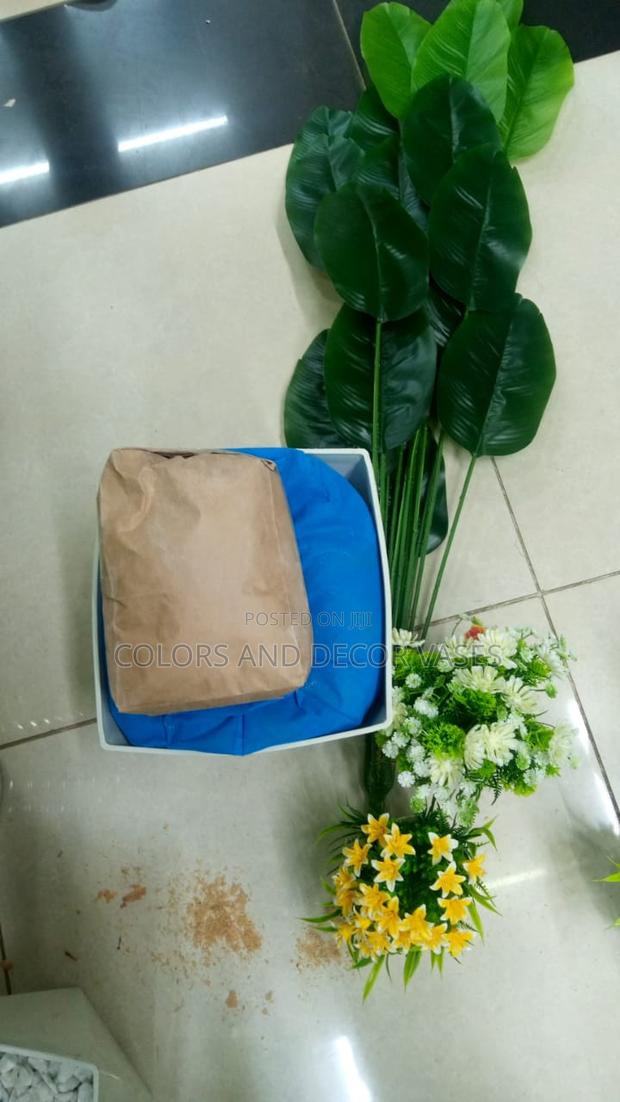 Banana Plant, Plastic Vase and Pebble Stones