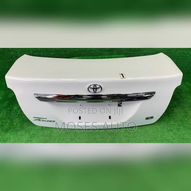 Axio 161 Boot