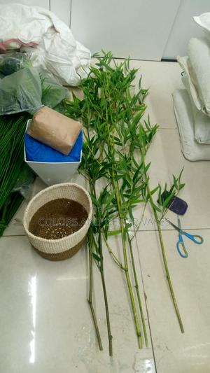 Bamboo Sticks With Basket or Plastic Vase on Offer - thumbnail 2