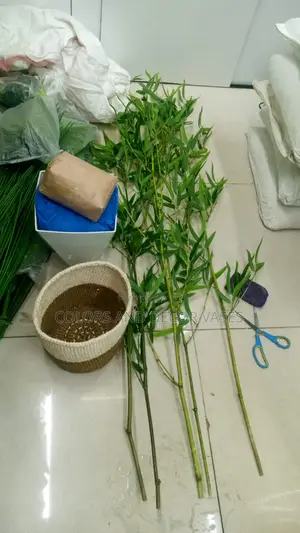 Bamboo Sticks With Basket or Plastic Vase on Offer