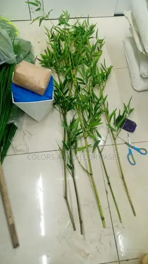 Bamboo Sticks, Vase and Pebble Stones