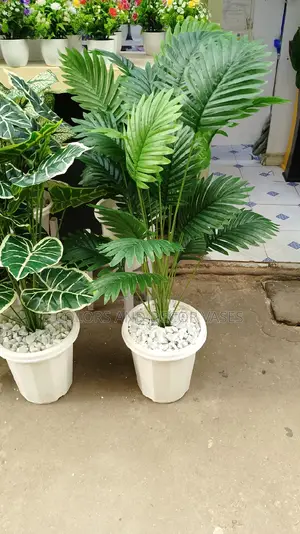 Long Palm Tree and Round Vase