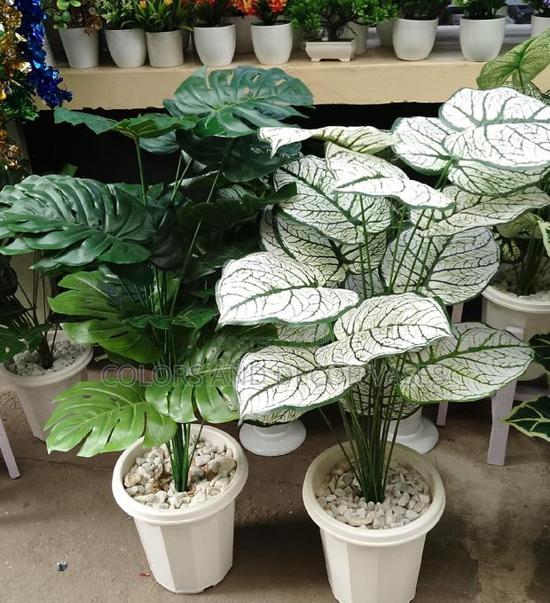 Artificial Plants and Round Vases Long - main view