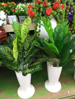 Plants Small With Vases
