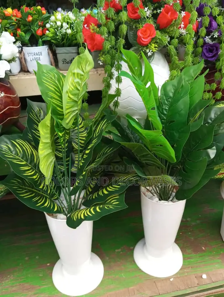 Plants Small With Vases