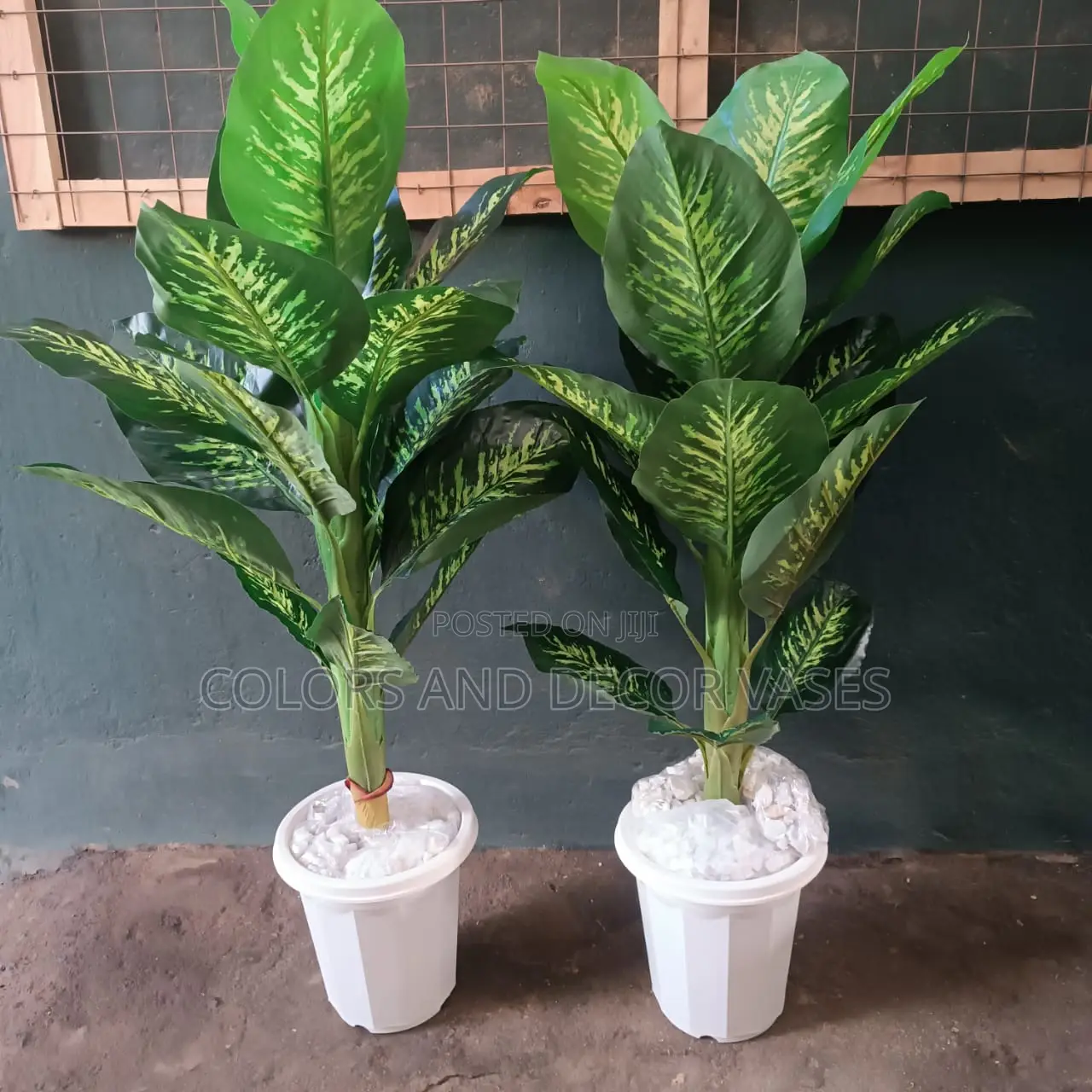 1.2m Long Plant With Vase KSH 4000.