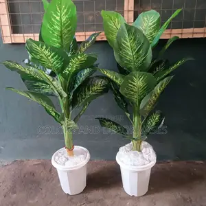 1.2m Long Plant With Vase KSH 4000.