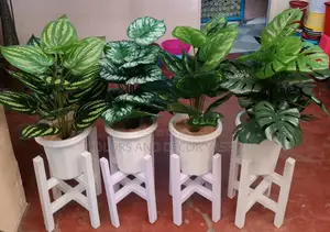 Plants,Stands,Vases,Pebbles Stones