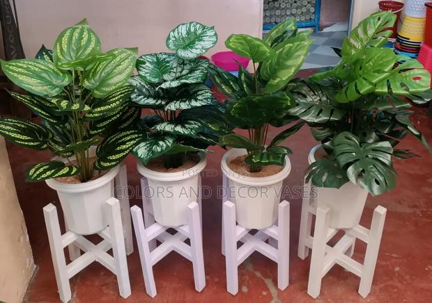 Plants,Stands,Vases,Pebbles Stones