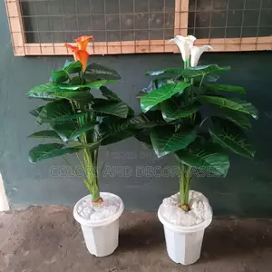 Flowered Plant With Vase and Pebble Stones Offer Price