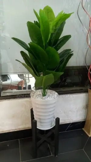 Banana Plant, Stand and Vase