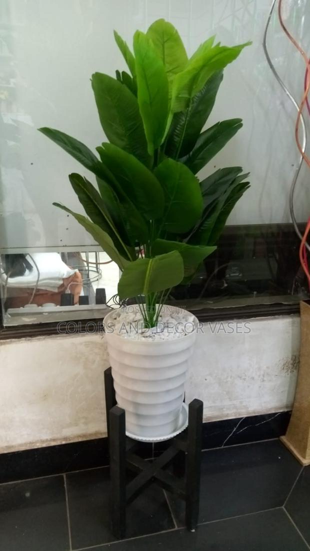 Banana Plant, Stand and Vase
